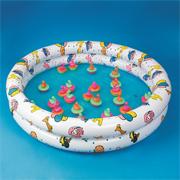 Duck Pond with Ducks