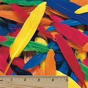 Duck Quill Feathers, 14grams  (pack of 100)