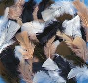 Natural Feathers, 14g  (bag of 150)