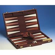 Backgammon in Case