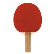 Table Tennis Paddle 