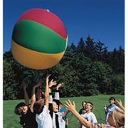 24" Nylon Cageball Cover