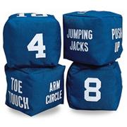 Fitness Dice  (pair)