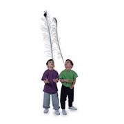 More info about Peacock Feathers (set of 12) Peacock Feathers (set of 12)