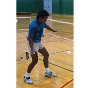 Replacement Pickle Ball