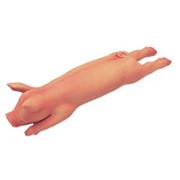 Rubber Animal, Pig