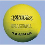 Spectrum� Volleyball Trainer, Yellow - Regular Size