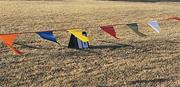 100' Pennant Streamer