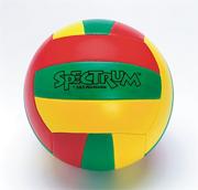Spectrum� Beach Volleyball