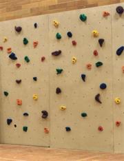 Textured Climbing Wall Panel 4'x8'