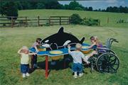 Whale sand/water table