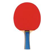 Pro Table Tennis Paddle