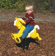 Pony Spring Rider