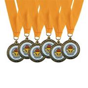 Trophy Cup Award Medals with Neck Ribbons  (pack of 6)