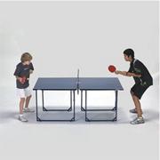 Midsize Table Tennis Table
