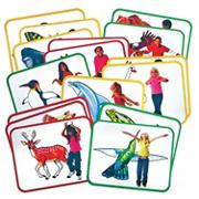 Animal Action Cards (pack of 16)