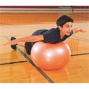 Exercise and Therapy Balls