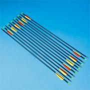 Fiberglass Target Arrows (set of 12)