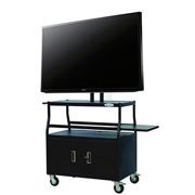 46" HD LCD TV w/ Rolling Storage Cart